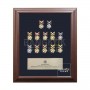 กรอบรูปโชว์เหรียญ-ติดยศ